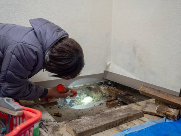 Best HVAC Mold Inspection and Cleaning  in Dent, OH