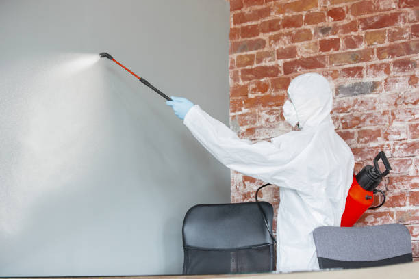 Best Industrial Mold Remediation  in Dent, OH