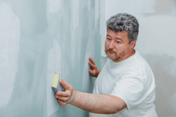 Best Mold Removal for HVAC Installations  in Dent, OH