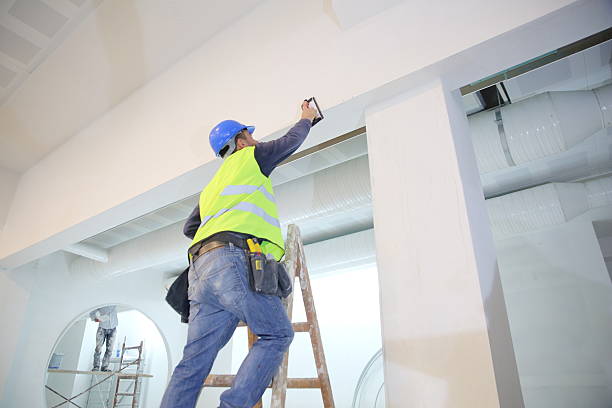 Best Real Estate Mold Inspection  in Dent, OH