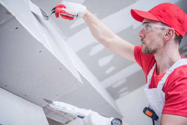 Best Dehumidification Services  in Dent, OH