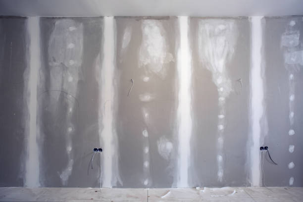 Best Mold-Related Health Consultation  in Dent, OH