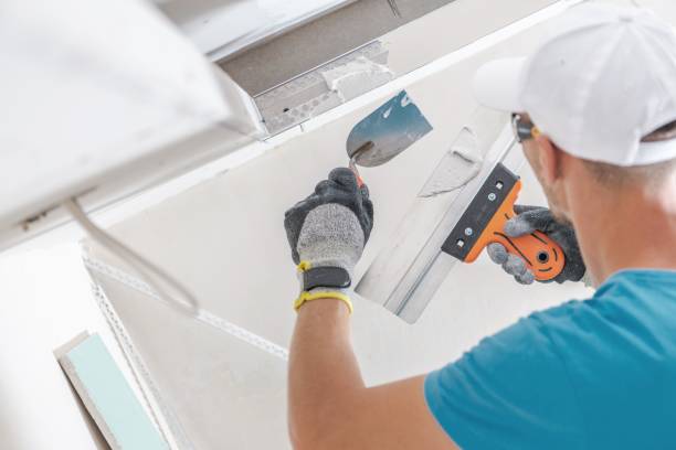 Best Crawl Space Mold Remediation  in Dent, OH